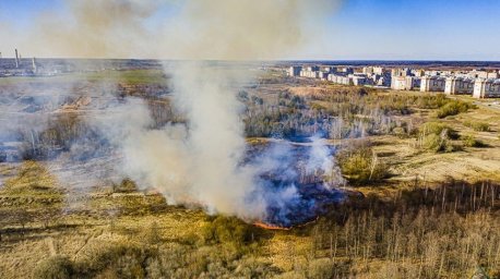 Спасатели несколько часов тушили полыхавшую траву на окраине Слонима