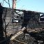 В Щучинском районе более 20 домов сгорело из-за пала сухой травы 5