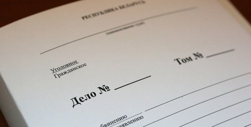 В Жлобине завершено расследование похищения 7-летней девочки