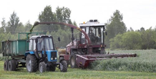 Прокуратура Витебской области нашла нарушения в заготовке травяных кормов